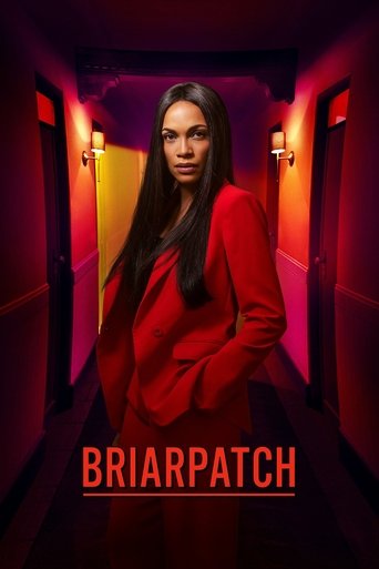 Póster de Briarpatch