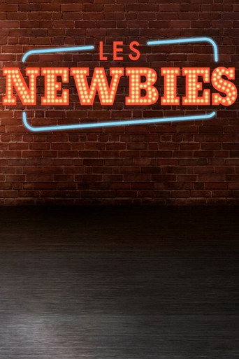 Póster de Les Newbies