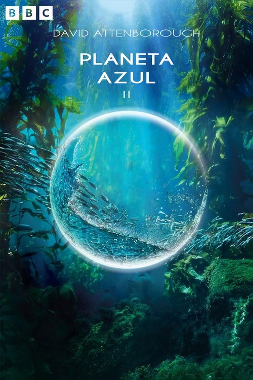 Póster de Planeta Azul II
