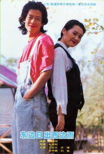 Póster de 东边日出西边雨