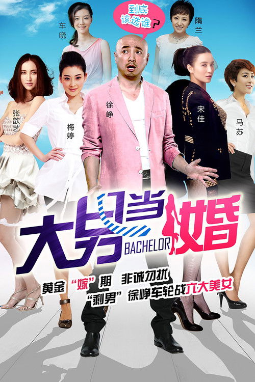 Póster de 大男当婚