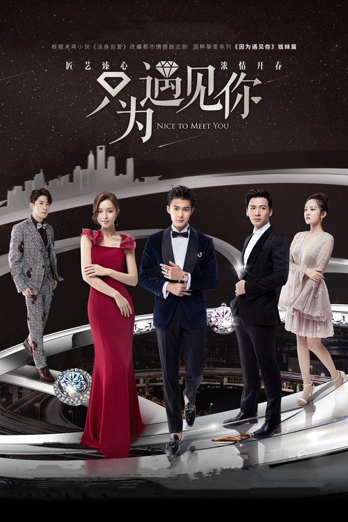 Póster de 只为遇见你