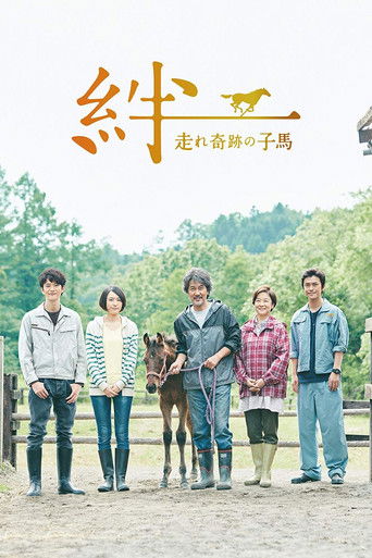 Póster de Ties: A Miraculous Colt