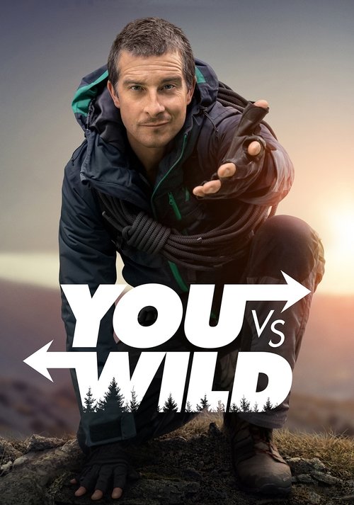Póster de You vs. Wild