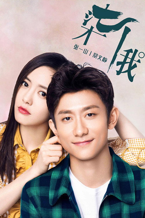 Póster de 柒个我