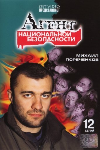 Póster de National Security Agent