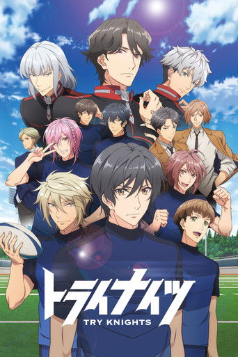 Póster de Try Knights
