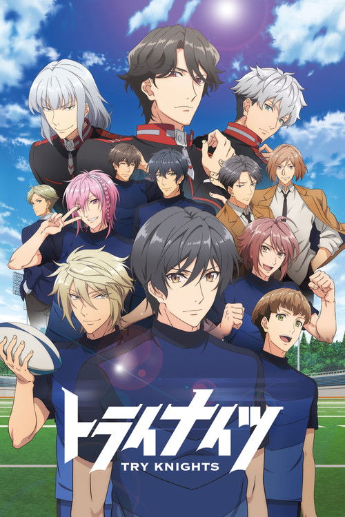 Póster de Try Knights