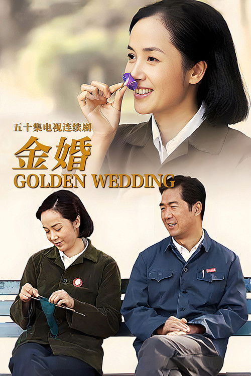 Póster de 金婚