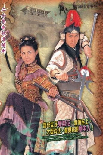 Póster de 烽火奇遇結良緣
