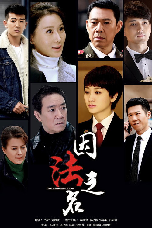 Póster de 因法之名