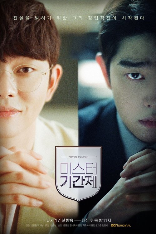 Póster de 미스터 기간제