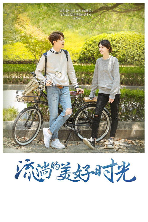 Póster de 流淌的美好时光