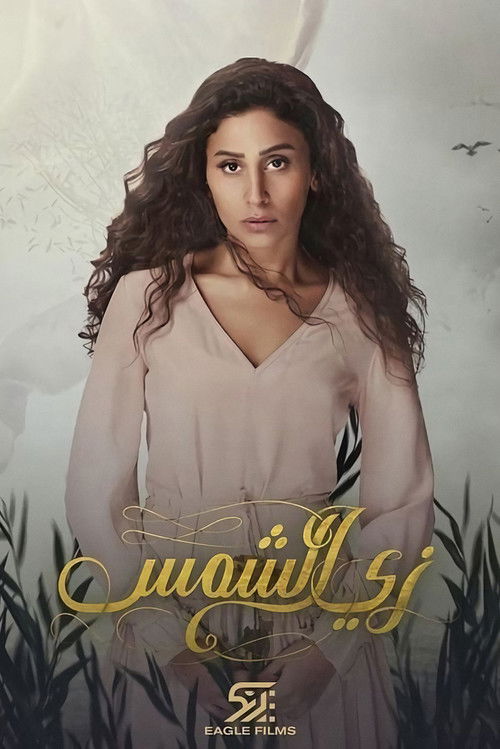 Póster de زى الشمس