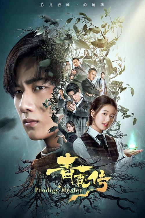 Póster de 青囊传