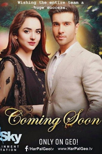 Póster de Dil Kiya Karay
