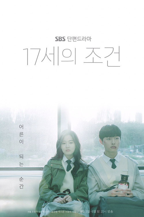 Póster de 17세의 조건