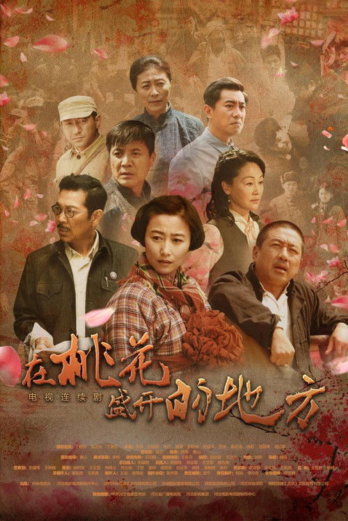Póster de 在桃花盛开的地方