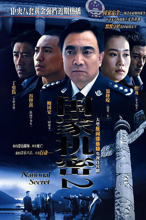 Póster de 国家机密2