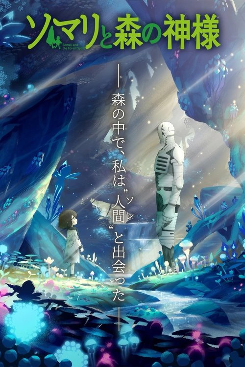 Póster de Somali to Mori no Kamisama