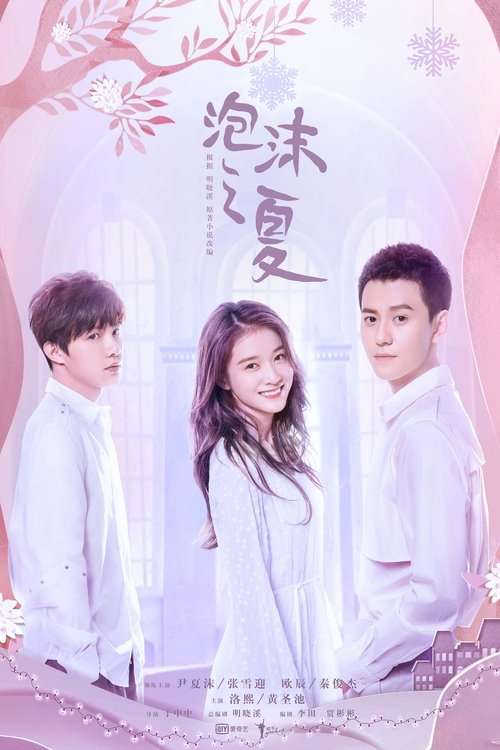 Póster de 泡沫之夏