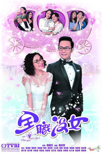 Póster de 全職沒女