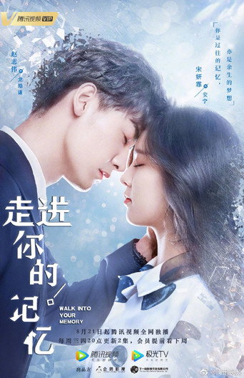 Póster de 走进你的记忆