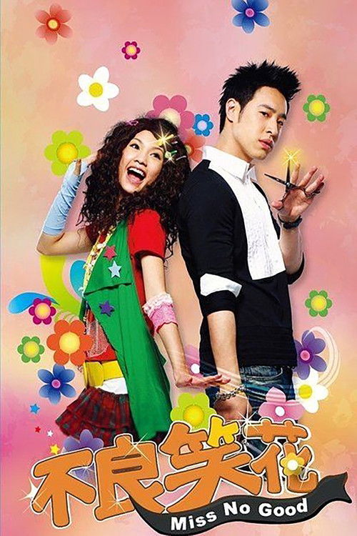 Póster de 不良笑花