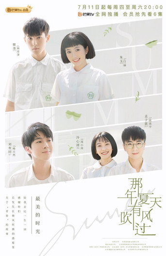 Póster de 那年夏天有风吹过