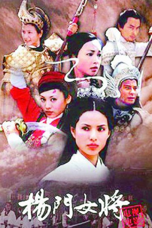 Póster de 杨门女将