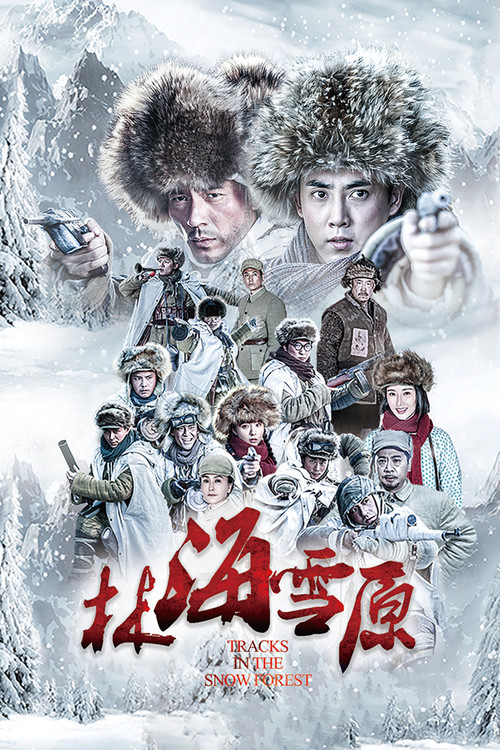 Póster de 林海雪原