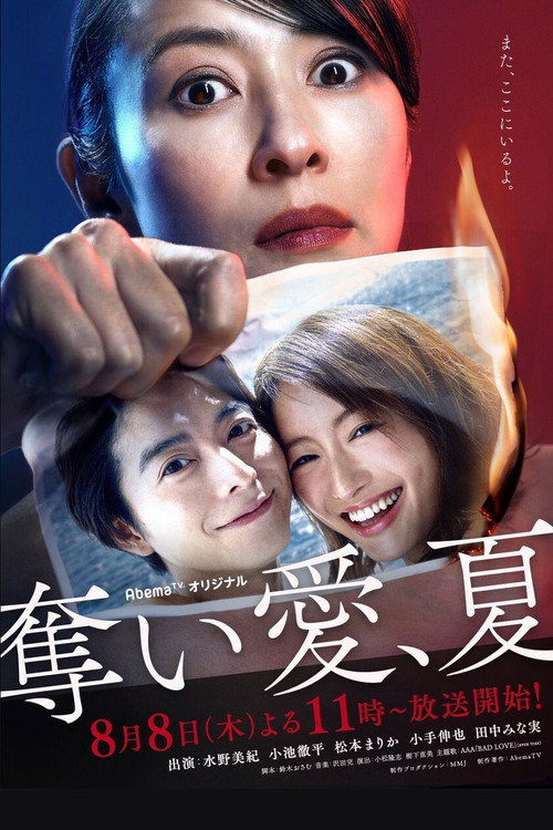 Póster de 奪い愛、夏
