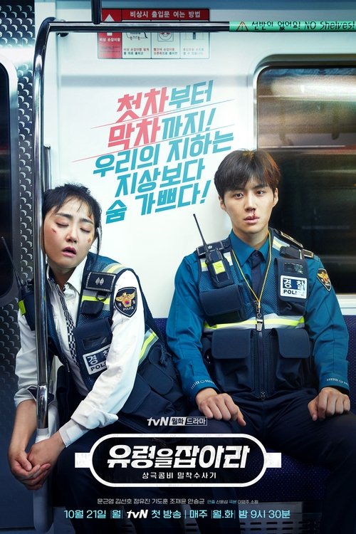Póster de 유령을 잡아라