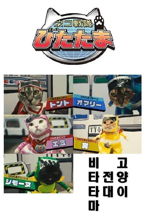 Póster de ネコ戦隊 びたたま
