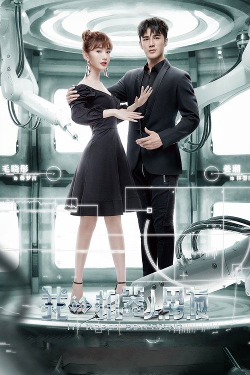 Póster de 我的机器人男友
