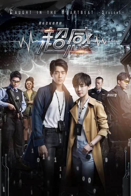 Póster de 青春警事