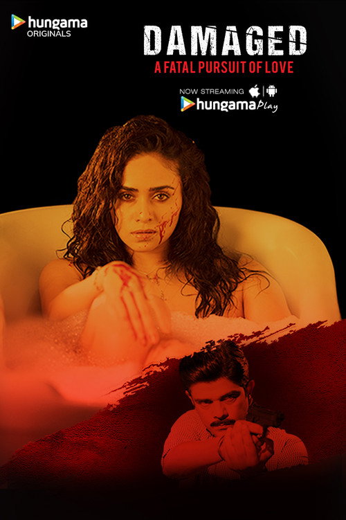 Póster de Damaged
