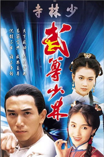 Póster de 武尊少林