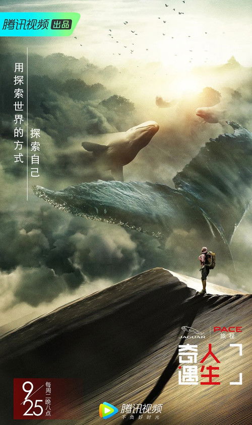 Póster de 奇遇人生