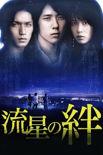 Póster de 流星の絆