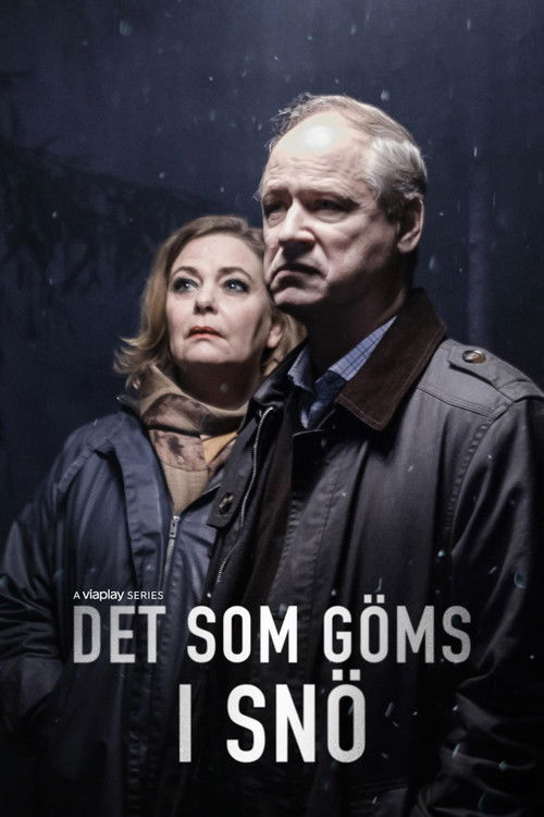 Póster de Det som göms i snö