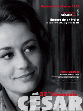 Temporada 37