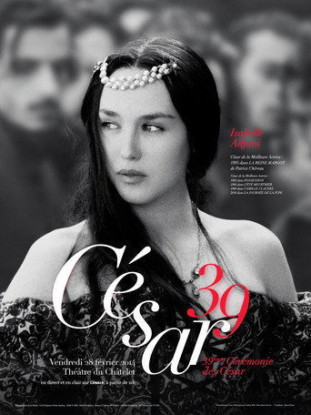 Temporada 39