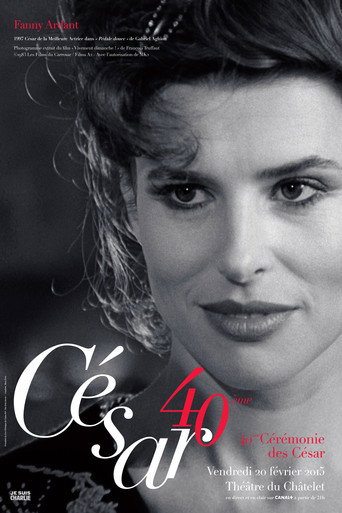 Temporada 40
