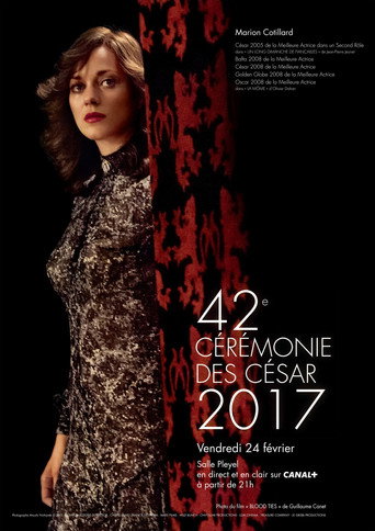 Temporada 42