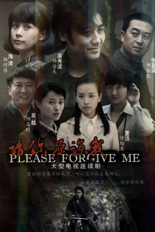 Póster de 请你原谅我