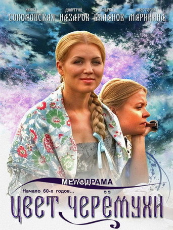 Póster de Цвет черёмухи