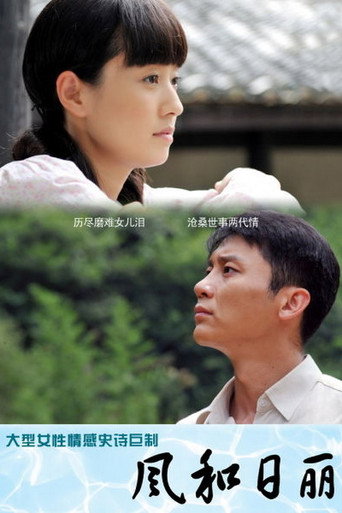 Póster de 风和日丽
