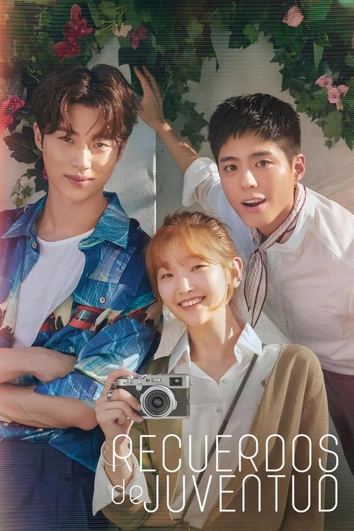Póster de Recuerdos de juventud