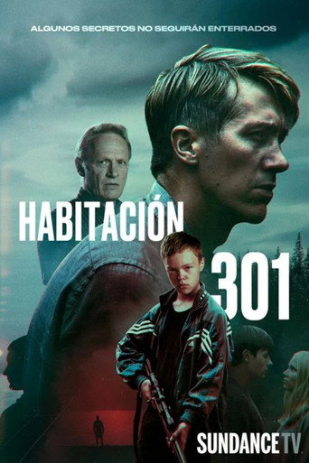 Póster de Huone 301